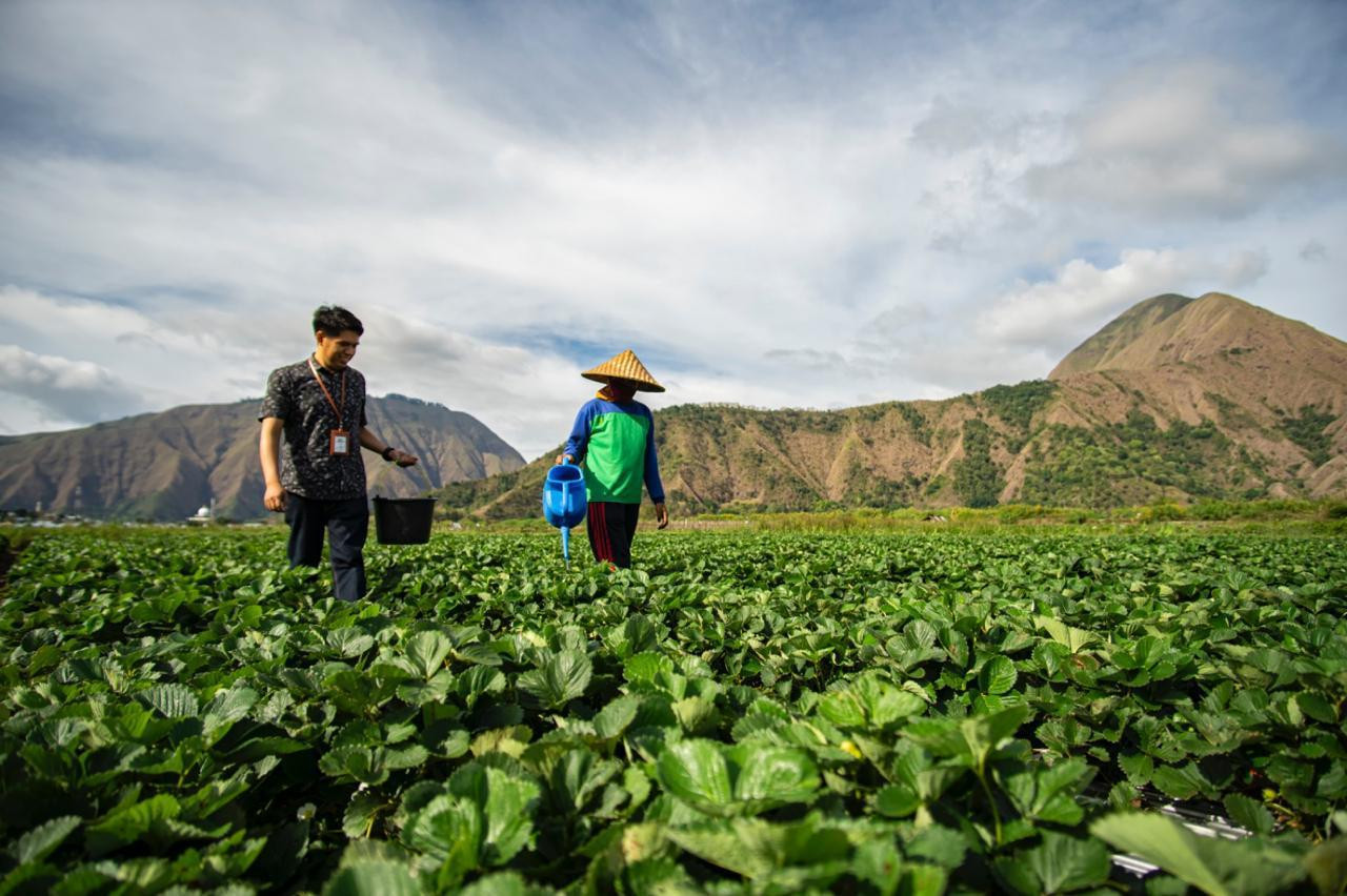 Optimisme Bisnis UMKM BRI Q3-2025 Masuk Fase Ekspansi