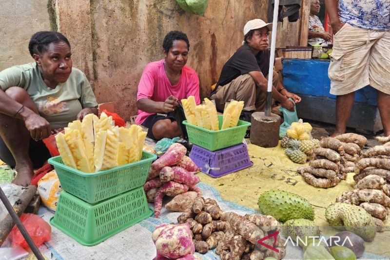 Menguatkan Ekonomi Papua Lewat Peran Strategis BI
